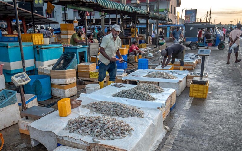 A vendor selling shrimp at a market in Negombo, Sri Lanka