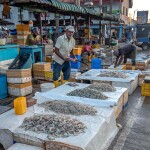A vendor selling shrimp at a market in Negombo, Sri Lanka