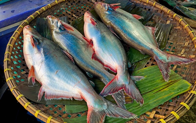 A basket filled with pangasius