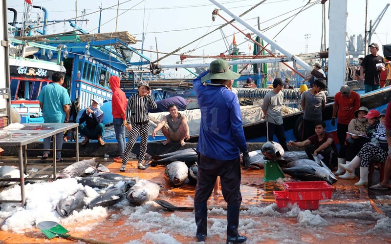 A Vietnamese tuna-fishing vessel