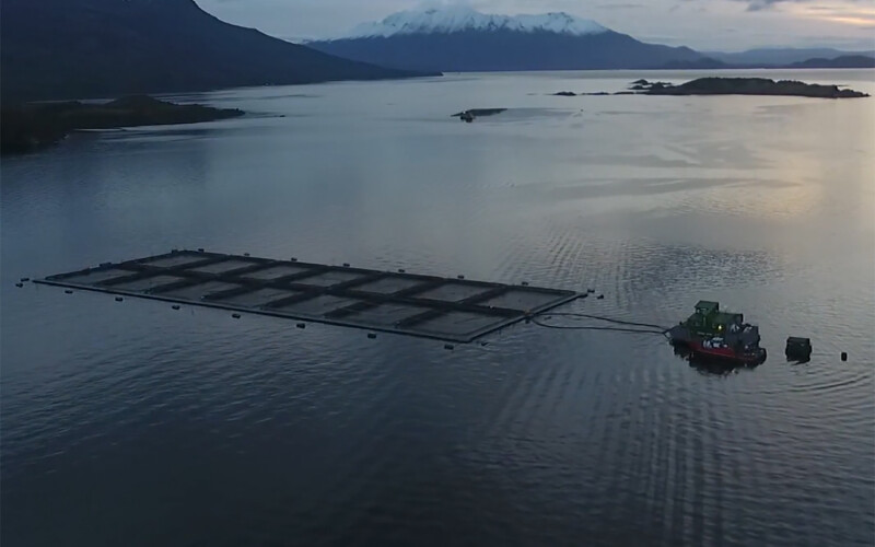 A Blumar salmon farm