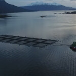 A Blumar salmon farm