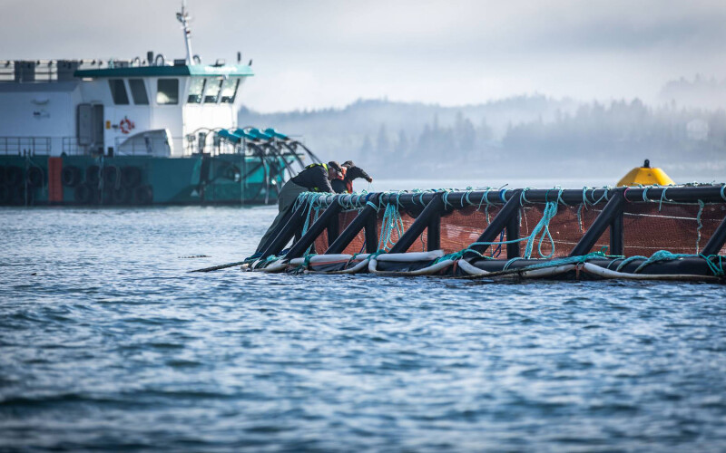 Cooke Canada operations