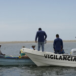 A Conapesca vessel conducting an inspection