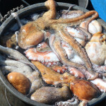 Clay pot full of oysters in Portugal