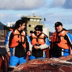 Chilean salmon-farming workers laughing