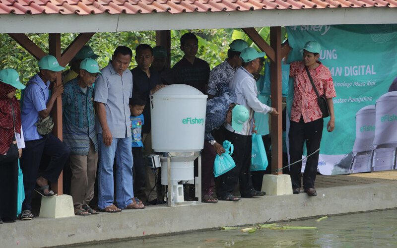 eFishery feeders used by farmers