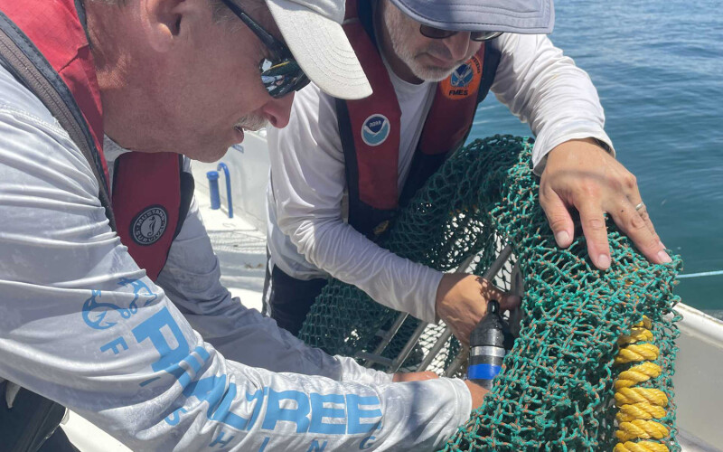 NOAA employees
