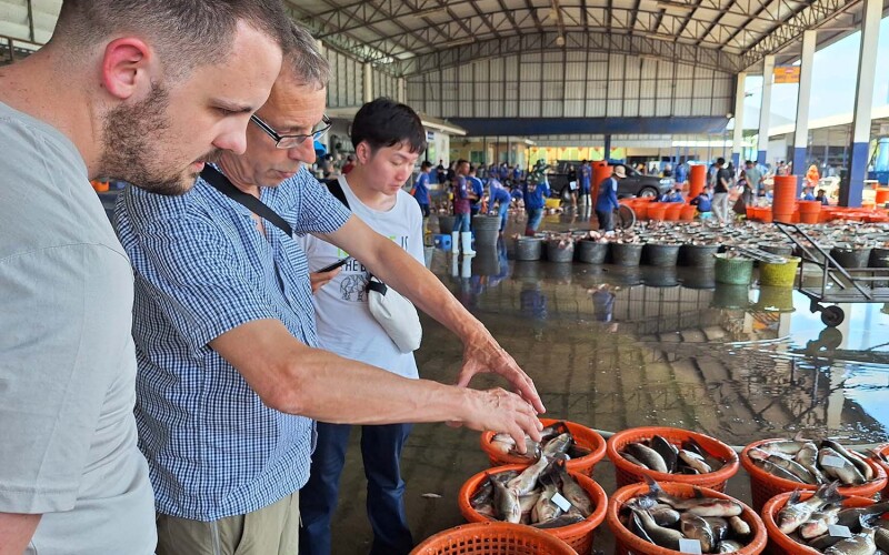 Dr. Timothy Wiese, Professor Dave Little, and Arnan Hirunratanakorn in a fish market in Thailand