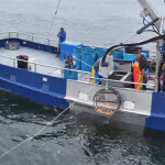 Pop-up gear being used in California