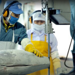 A Dongwon Industries employee cutting a tuna