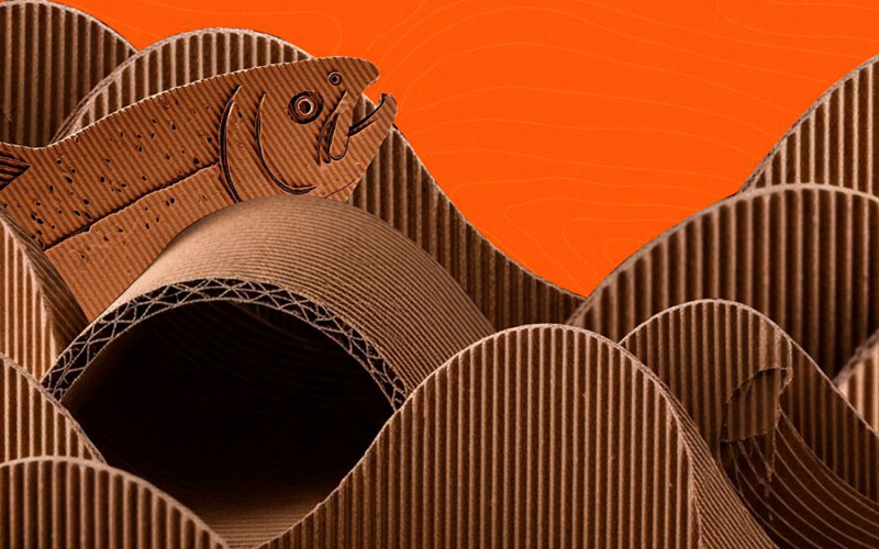 Cardboard salmon