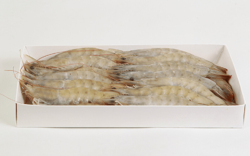 A box of Ecuadorian head-on, shell-on shrimp