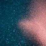 A swarm of krill swimming in the ocean