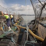 A pair of salmon farming net pens in Tasmania