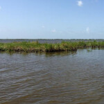No Name Bayou in Louisiana