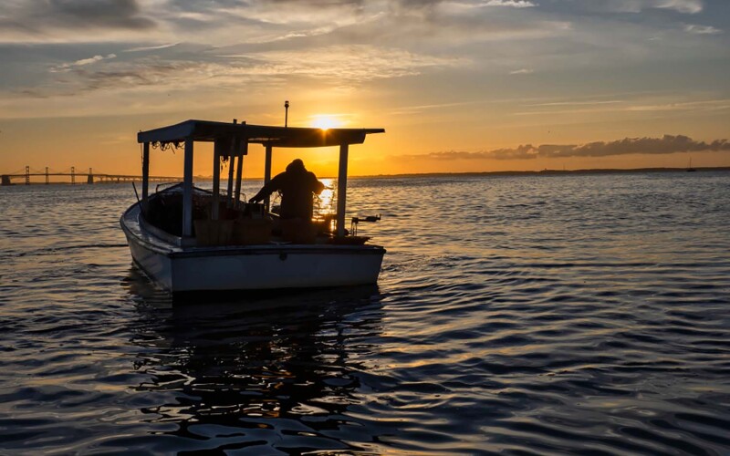 A Chesapeake Bay crabber heading out to work