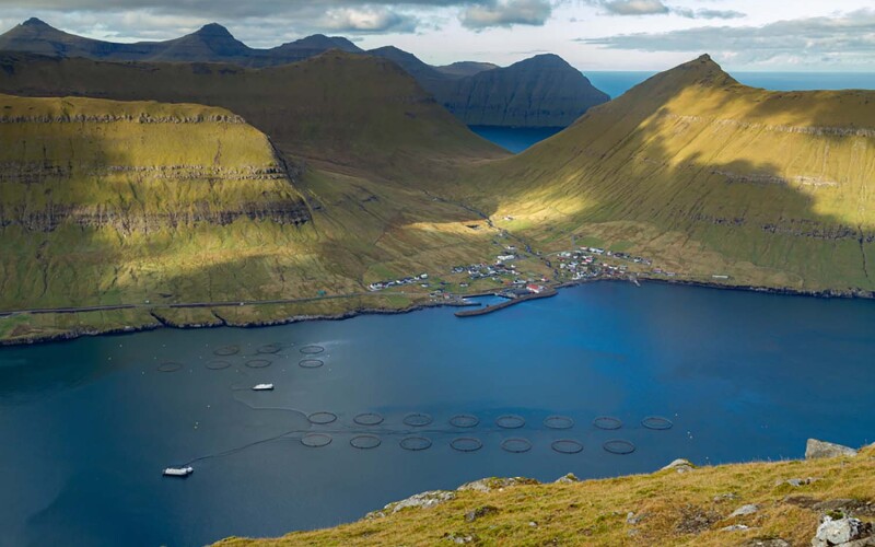 A salmon farm in the Faroe Islands