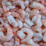 frozen shrimp