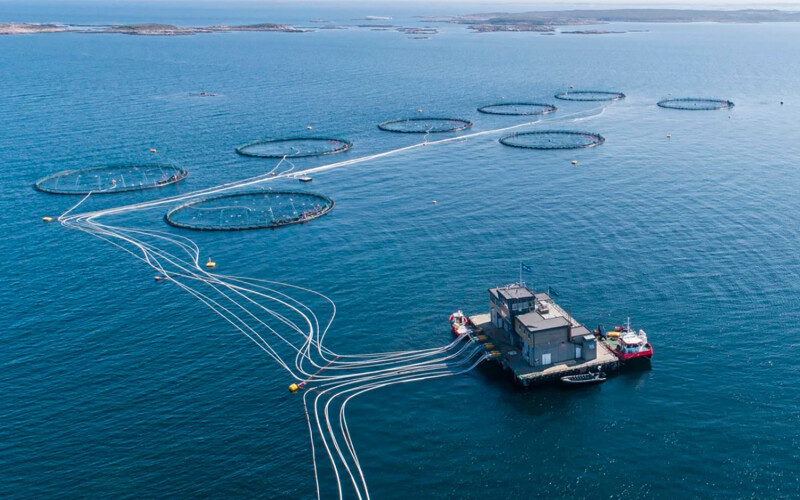 Fish-farming operations at Lerøy Midt