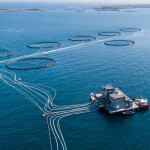 Fish-farming operations at Lerøy Midt
