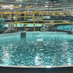 The interior of Proximar Seafood's land-based salmon production facility in Japan