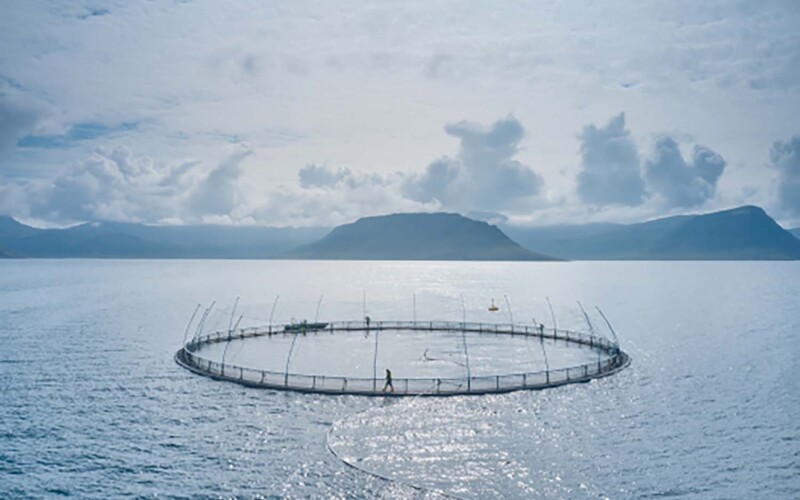 An aerial view of an Arnarlax net pen