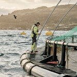 A Grieg salmon farmer tending to a net pen
