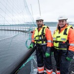 Bakkafrost employees standing on a net pen