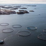 An aerial view of Norcod net pens