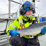 A Gigante Salmon employee holding a salmon