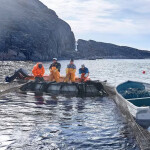 Royal Greenland fishermen working on a purse seine net