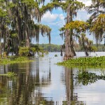 Swampy Louisiana waters
