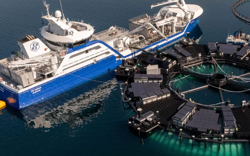 A SalMar vessel harvesting salmon out of the Marine Donut