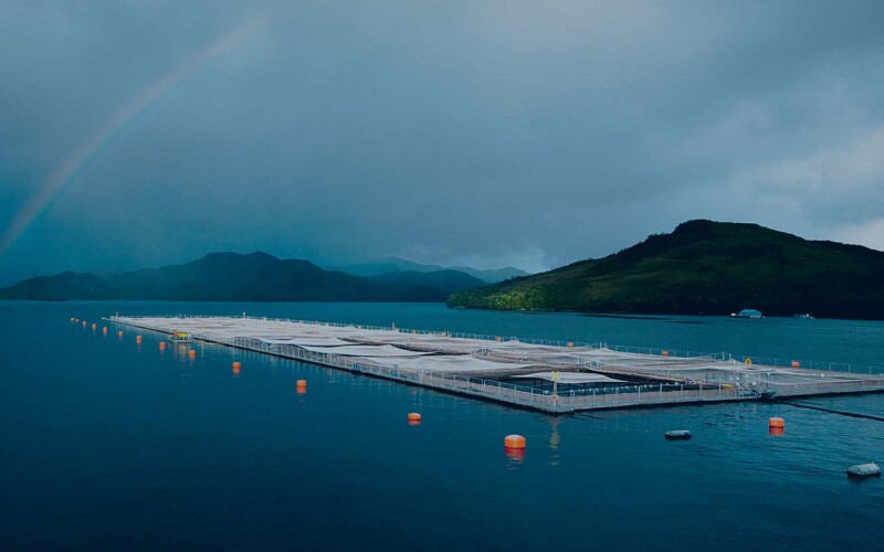 A Blumar salmon farm