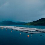 A Blumar salmon farm