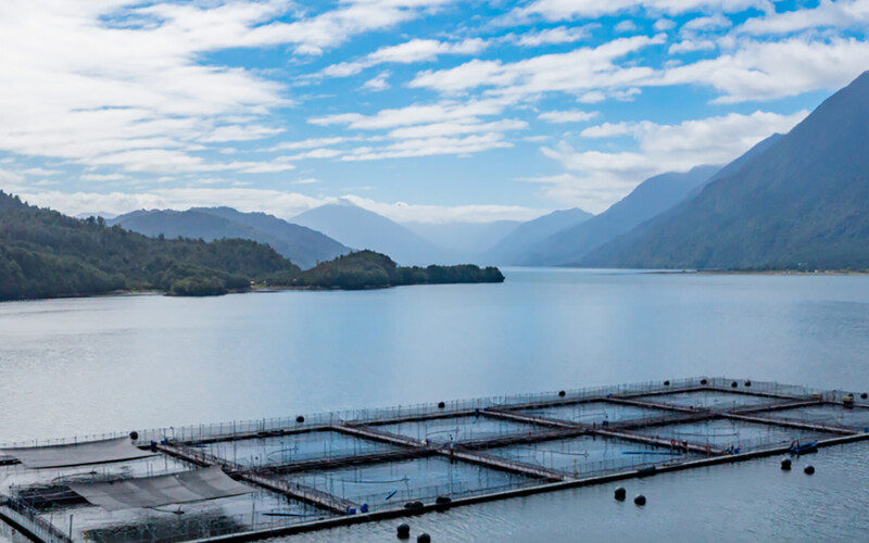 A Ventisqueros salmon farm