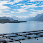 A Ventisqueros salmon farm