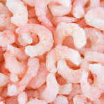 frozen shrimp