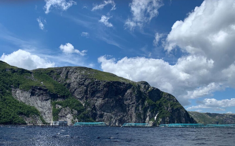 A Mowi Canada East salmon farming site