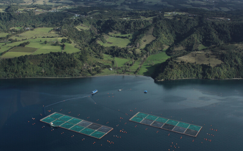 An aerial shot of a Chilean salmon farm