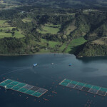 An aerial shot of a Chilean salmon farm