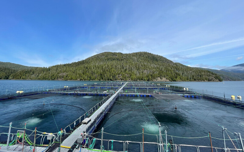 A salmon farm in British Columbia, Canada