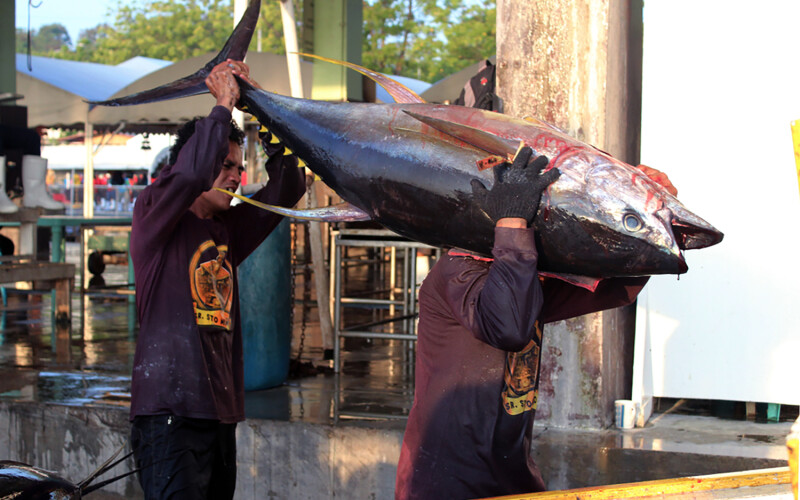 Two men hauling in a freshly caught tuna near General Santos City, Philippines
