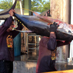 Two men hauling in a freshly caught tuna near General Santos City, Philippines