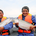 Longyang Zhixian trout farmers