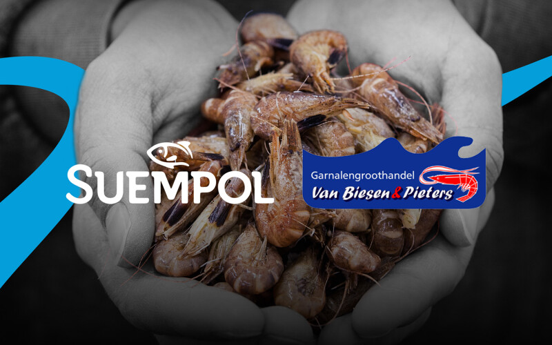 Logos for Suempol and Van Biesen & Pieters superimposed on hands holding shrimp