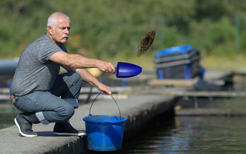 A man feeding fish at a fish farm