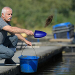 A man feeding fish at a fish farm