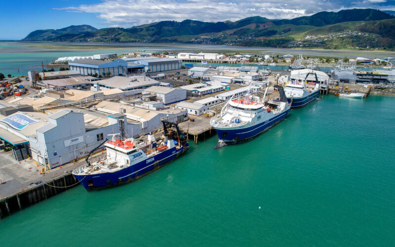 An aerial view of Sealord's operations in New Zealand